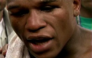 floyd mayweather jr/